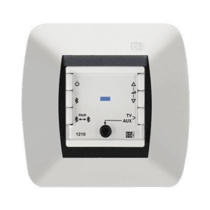 Mando Bluetooth Con Entradas - EGI (audio/megafonía)